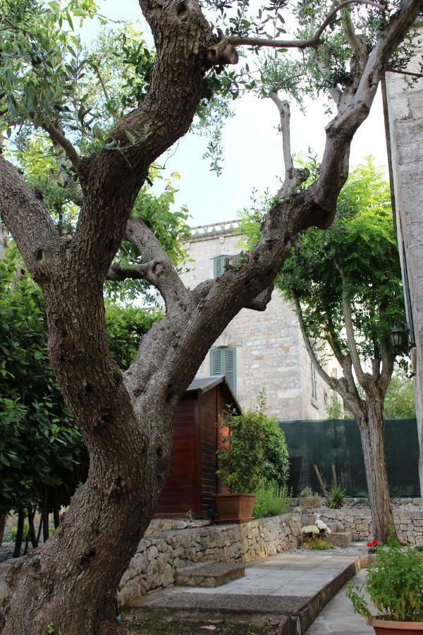 Bed and Breakfast Domus Relax Selva Di Fasano Exterior foto